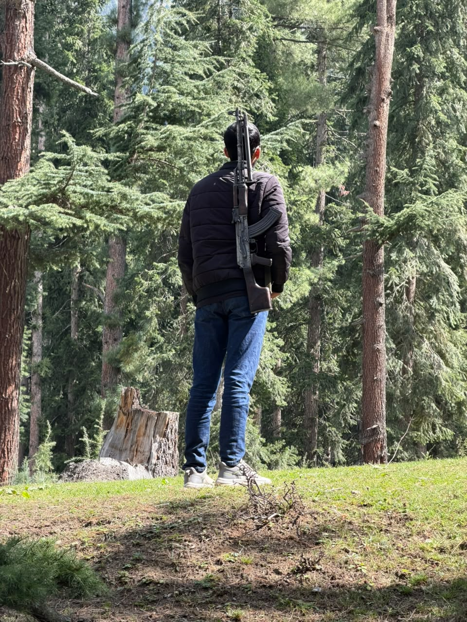 Forest trails